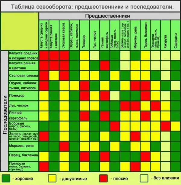 Таблица севооборота, несовместимость при пересадке растений