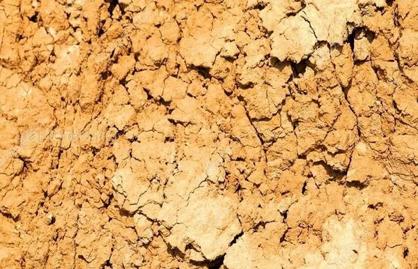 способ определения механического состава почвы - песок