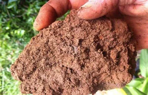 способ определения механического состава почвы