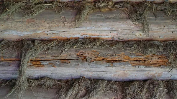 Тепло из парилки может уходить через щели и трещины в древесине