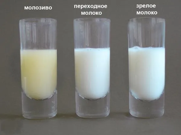 разное молоко
