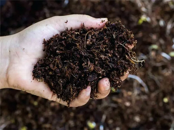 Удобрение улучшает качество почвы