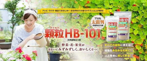 Стимулятор роста растений HB-101 - рука помощи для наших растений из Японии - из отзывов о продукте. Фото с сайта hb-101.co.jp