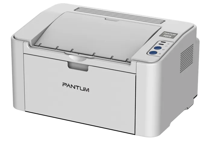 Pantum P2518