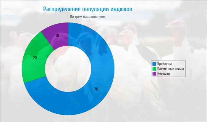 Распределение птиц по направлениям