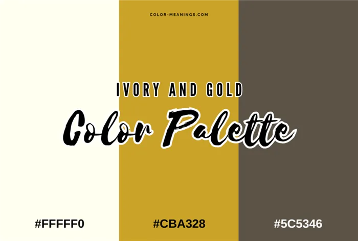 Ivory and Gold Color Palette