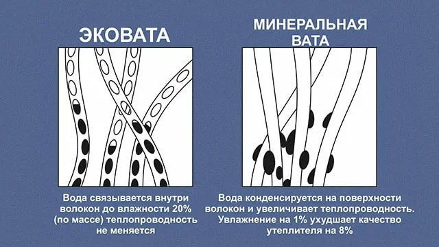 Эковата крупным планом