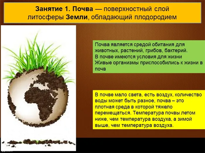 Почва является средой обитания для животных, растений, грибов, бактерий.