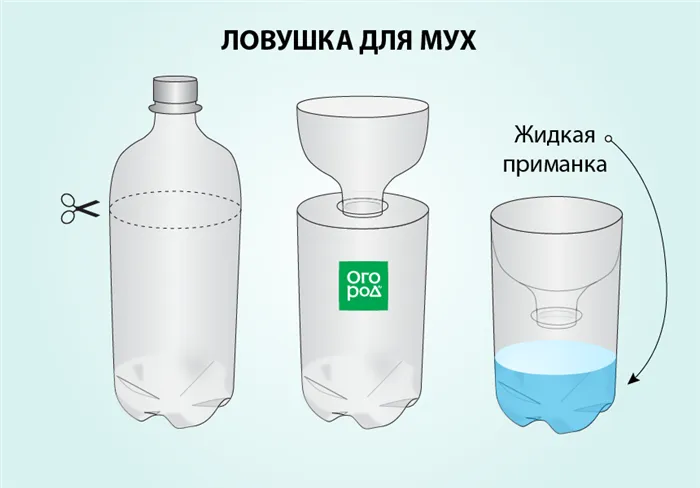 Ловушка для мух