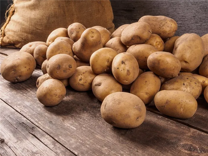 Solanum tuberosum что это за растение 5