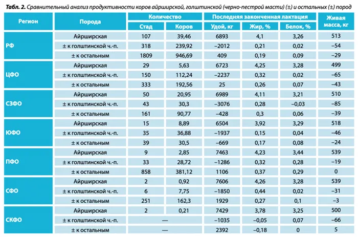 айрширская порода