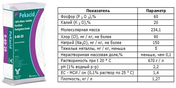 Почему у рассады помидор фиолетовые листья снизу, что делать