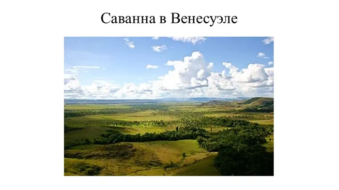 Саванна в Венесуэле