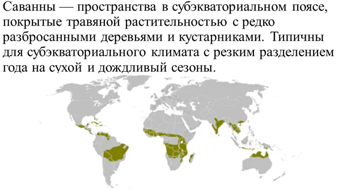 Саванны — пространства в субэкваториальном поясе, покрытые травяной раститель. 