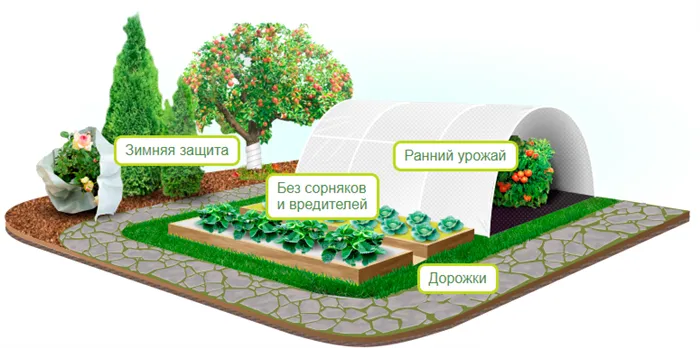 Использование дорнита в садоводстве.