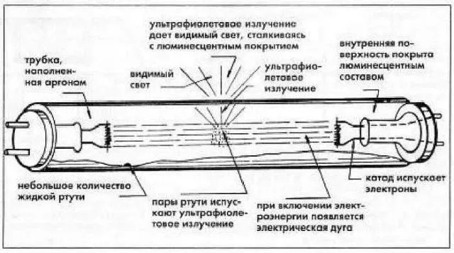 Строение люминесцентной лампы 