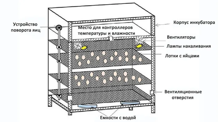 Устройство инкубатора